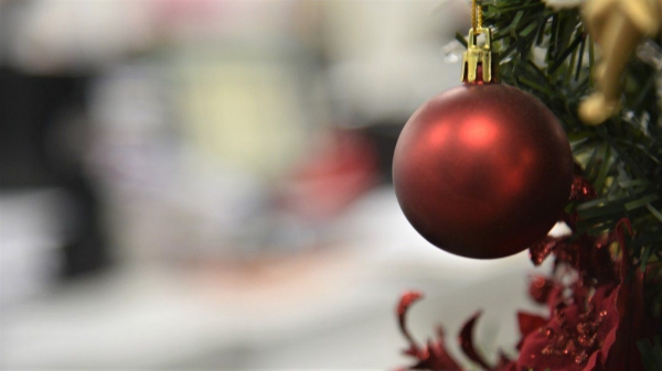 Pautas para una alimentaci&oacute;n natural, fresca y casera en estas fiestas