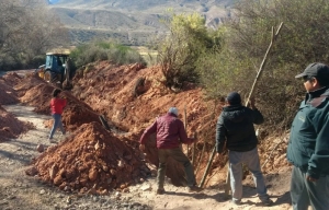 Inician obras de bioingenier&iacute;a con 'vetiver' en Valle, Quebrada y Ramal