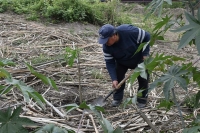 Inici&oacute; la primera etapa de restauraci&oacute;n del Bosque Nativo en San Salvador de Jujuy