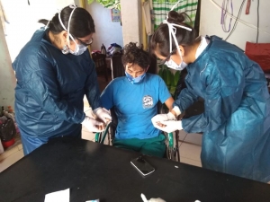 Prorrogaron vigencia de certificado de discapacidad