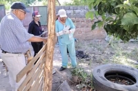Eliminar criaderos de mosquitos es la medida principal para prevenir el dengue