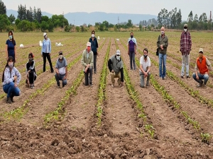 Abono org&aacute;nico para lograr una producci&oacute;n tabacalera sostenible