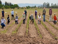 Abono org&aacute;nico para lograr una producci&oacute;n tabacalera sostenible