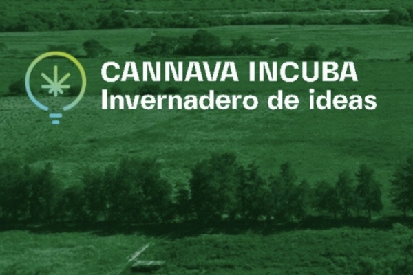 Amplia participaci&oacute;n en el concurso Cannava Incuba
