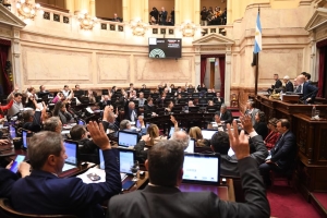 El Senado aprob&oacute; un proyecto que pone l&iacute;mites al Presidente en el uso de los DNU