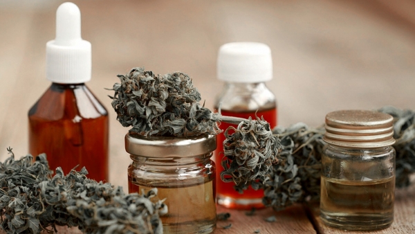 Las respuestas positivas del cannabis medicinal a la epilepsia refractaria superaron el 80%