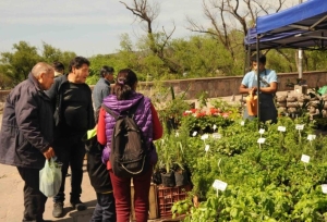 Llega la quinta edici&oacute;n de Jujuy Florece