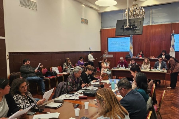 Legislatura trabaj&oacute; en la reglamentaci&oacute;n de la nueva grilla de calificaci&oacute;n docente
