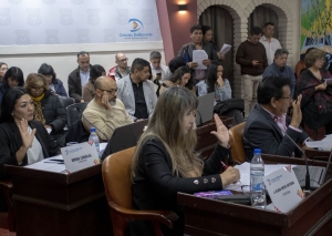 Concejales.Ordenanza para brindar seguridad en espacios deportivos