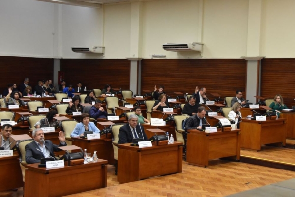 Diputados: Aprobaron el Protocolo “Código Mariposa” junto a otras iniciativas de salud, educación y transporte