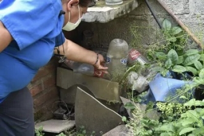 Dengue: los cuidados en verano son claves para evitar la infecci&oacute;n
