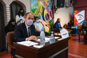 Cr&iacute;ticas a la ordenanza que regula venta ambulante