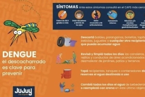 Dengue: con s&iacute;ntomas, la consulta debe ser inmediata