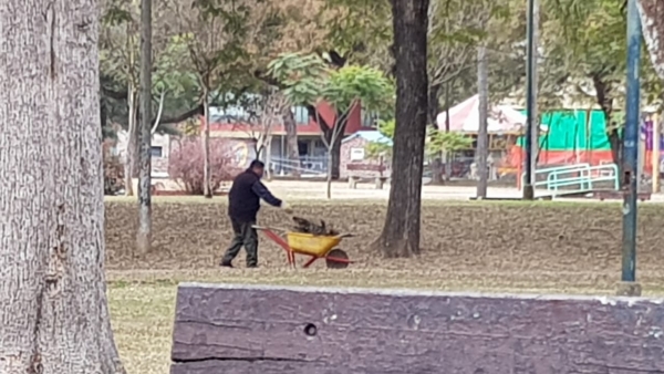 Mantenimiento en plazas p&uacute;blicas