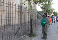 Continuan tareas de mantenimiento en espacios p&uacute;blicos