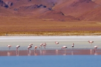 Avances en el Plan de Manejo de Reserva de Bi&oacute;sfera de Pozuelos
