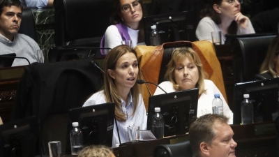 Tensi&oacute;n en la Legislatura por los proyectos para profesionalizar a los enfermeros