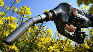 Biocombustibles: qu&eacute; piden los productores tras el aumento del 5% que se traslad&oacute; a naftas