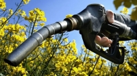 Biocombustibles: qu&eacute; piden los productores tras el aumento del 5% que se traslad&oacute; a naftas