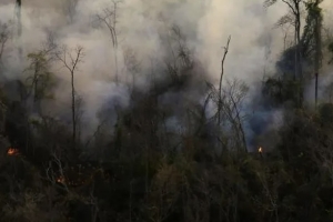 Gobierno mult&oacute; a personas que causaron incendios forestales