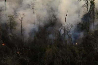 Gobierno mult&oacute; a personas que causaron incendios forestales