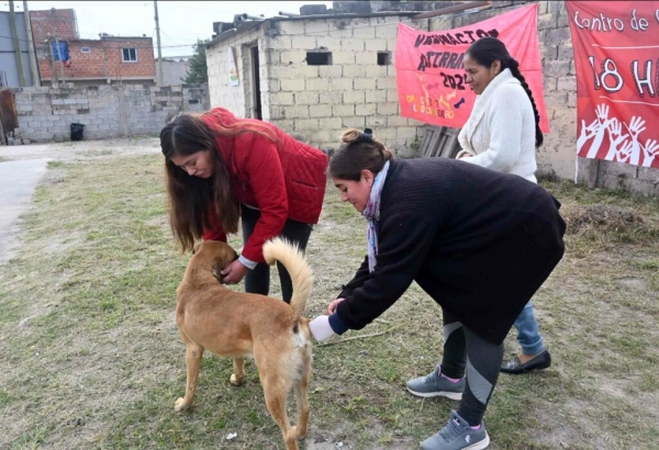 Municipio.Vacunaci&oacute;n antirr&aacute;bica y concientizaci&oacute;n en Alto Comedero