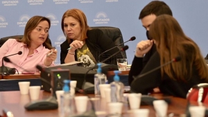 Reforma de la ley de alquileres. Nueva ronda de consultas en Diputados