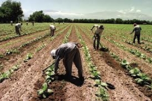 Trabajadores rurales piden a legisladores nacionales que rechacen el DNU &nbsp;