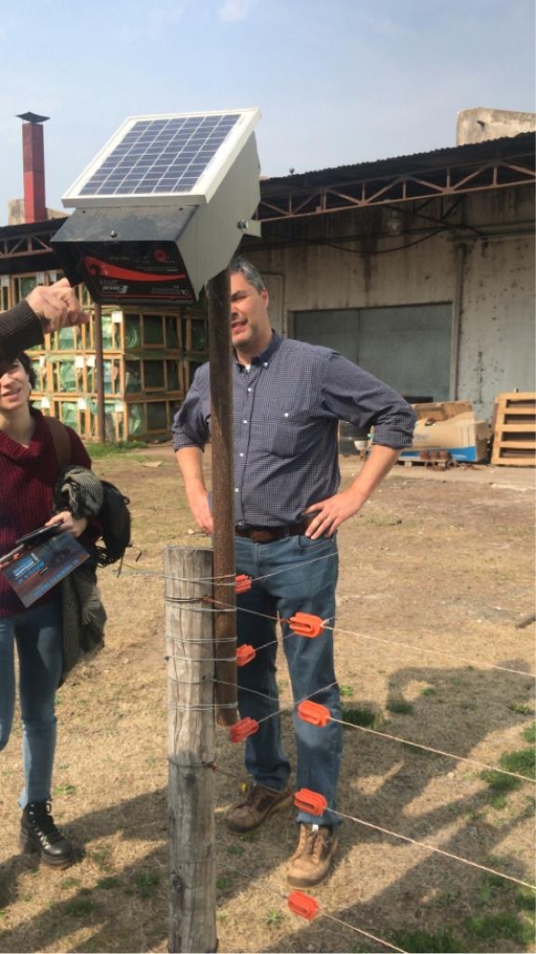 BOYEROS SOLARES PARA PRODUCTORES JUJE&Ntilde;OS