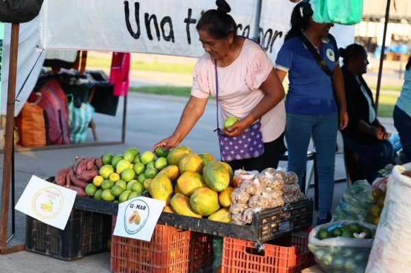 Feria Campesina Pucar&aacute; reunir&aacute; a productores y artesanos