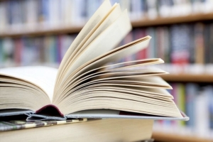 Ganadores VI Certamen Literario Provincial