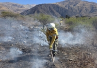 En Volcán. Rápido despliegue para controlar un incendio forestal