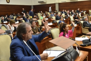 La Legislatura aprob&oacute; la designaci&oacute;n de dos Jueces de Control