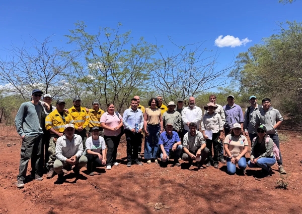 Forestaci&oacute;n de 270 algarrobos blancos para restaurar &aacute;reas degradadas