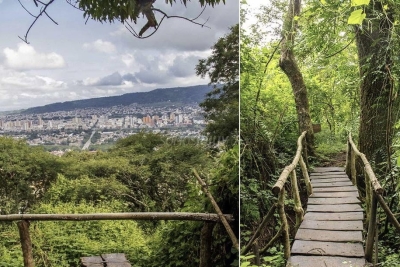 El Parque Bot&aacute;nico municipal se prepara para la temporada de verano con variadas actividades