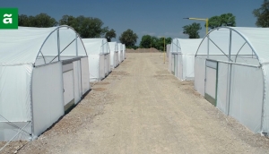 CANNAVA PONE A PUNTO LA INFRAESTRUCTURA DE CULTIVO DEL PLAN PILOTO