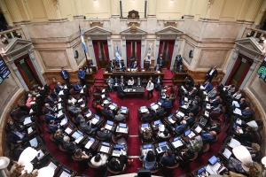 El a&ntilde;o pasado el Senado destin&oacute; $5.412 millones para ese &iacute;tem. Hubo 12 sesiones contra 8 del a&ntilde;o anterior, seg&uacute;n el an&aacute;lisis de Infobae