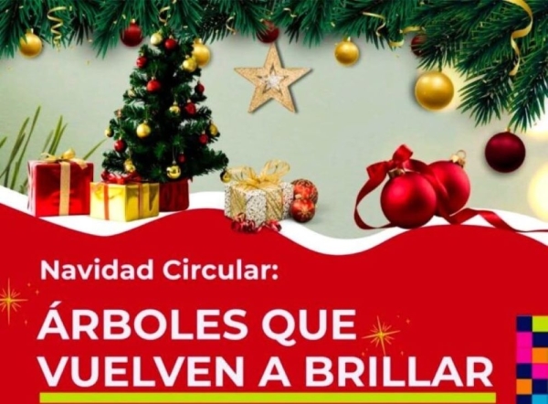 Campa&ntilde;a &ldquo;&Aacute;rboles que vuelven a brillar&rdquo;
