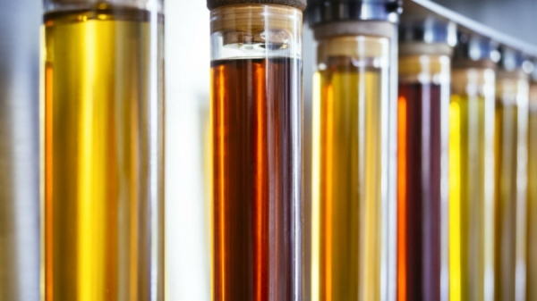Extendieron la vigencia del corte de biodiesel del 12,5%