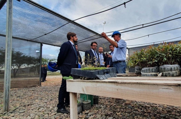 Italia muestra inter&eacute;s en la industria forestal de Jujuy