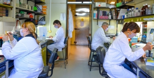 Cient&iacute;ficos argentinos avanzan en una vacuna de segunda generaci&oacute;n contra el coronavirus