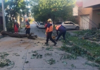 Gobierno desplegó un amplio operativo ante las fuertes ráfagas de viento en la capital