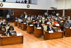 Legislatura. Ingresó proyecto ciudadano sobre el servicio eléctrico