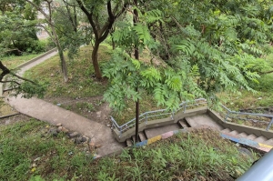 Escaleras urbanas de San Salvador pr&oacute;ximas a finalizar