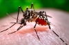 Alerta Dengue. Jujuy ya suma un total de 12592 casos