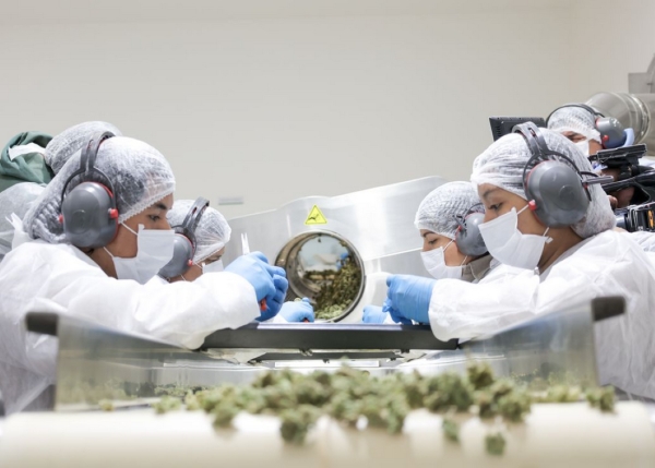 CANNAVA recibe reconocimiento cient&iacute;fico internacional