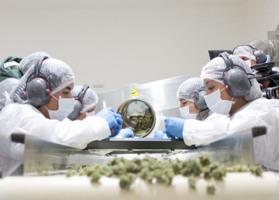 CANNAVA recibe reconocimiento cient&iacute;fico internacional