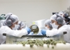 CANNAVA recibe reconocimiento cient&iacute;fico internacional