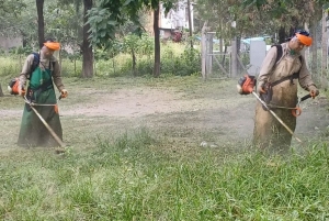 Chikungunya: Jujuy ya registran un total de 18 personas infectadas