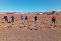Micropl&aacute;sticos:Analizaron ecosistemas de la Puna. Esperan resultados